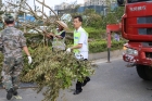 抗風救災打勝仗，復產重建新希望